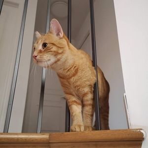 Meet your Posher, Yi le